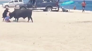 Býk zaútočil na turistu na populární pláži v Mexiku