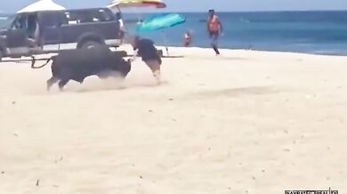 Býk zaútočil na turistu na populární pláži v Mexiku