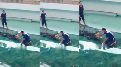 Jak vystrašit kolegu během krokodýlí show