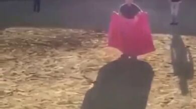 Člověk vs. býk #169