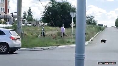 Rodiče vezli dítě v kleci na kolech