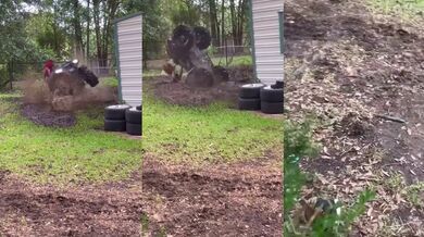 Nehoda na čtyřkolce