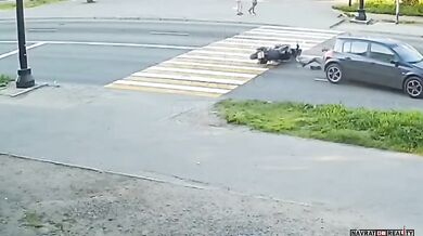 Kočka na vině dopravní nehody