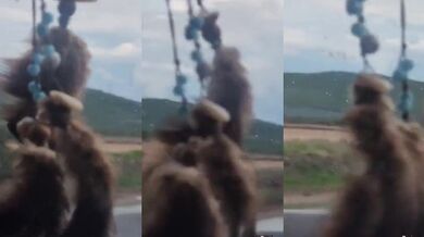 Helikoptéra s čtyřmi osobami havarovala v západním Mexiku