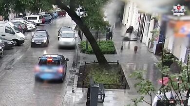 Vyděšený pes skočil z okna během bouřky a srazil ženu k zemi