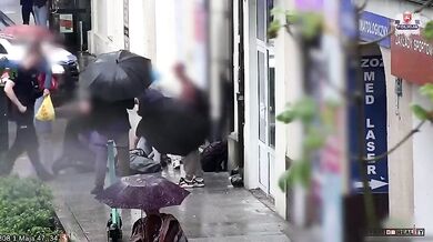 Vyděšený pes skočil z okna během bouřky a srazil ženu k zemi