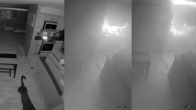 Pes v Colorado způsobil požár domu: Neúmyslné zapnutí sporáku mělo vážné následky