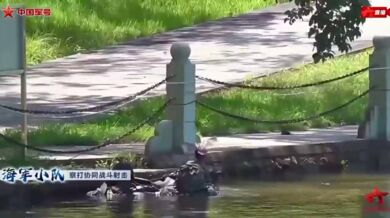 Čínský dron podobný ptáku