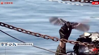 Čínský dron podobný ptáku