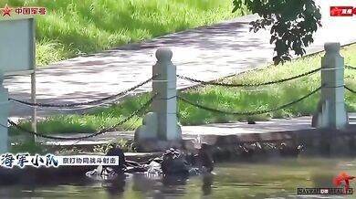 Čínský dron podobný ptáku