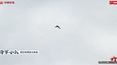 Čínský dron podobný ptáku