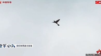 Čínský dron podobný ptáku