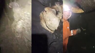 Nový nález mamuta v Jakutsku