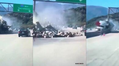 Velká nehoda na kalifornské dálnici: Kamion narazil do svodidel a na silnici vysypal tuny rozinek