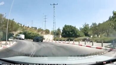 Překvapení na silnici