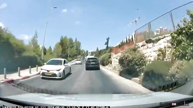 Překvapení na silnici