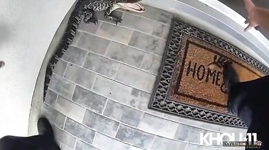Policista z Fulshear přemístil malého aligátora, který se objevil u dveří domu