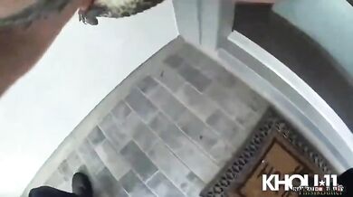 Policista z Fulshear přemístil malého aligátora, který se objevil u dveří domu