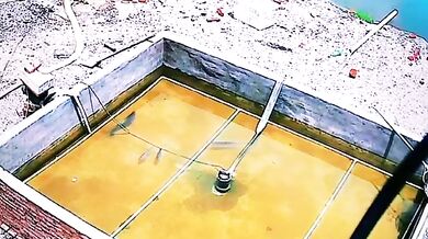 Hledá se Nemo v reálném životě