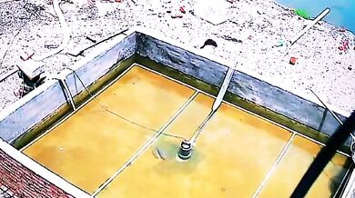 Hledá se Nemo v reálném životě