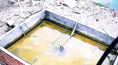 Hledá se Nemo v reálném životě