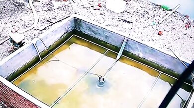 Hledá se Nemo v reálném životě