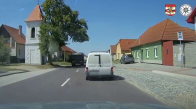 Řidič nákladního vozu zkolaboval po bodnutí hmyzem: Tatra zastavila až v bazéně