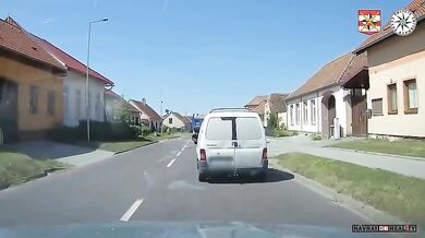 Řidič nákladního vozu zkolaboval po bodnutí hmyzem: Tatra zastavila až v bazéně