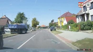 Řidič nákladního vozu zkolaboval po bodnutí hmyzem: Tatra zastavila až v bazéně