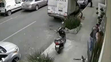 Konflikt psů na ulici