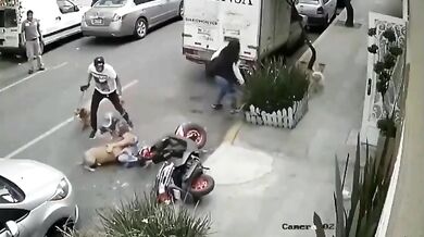 Konflikt psů na ulici