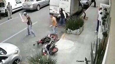 Konflikt psů na ulici