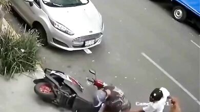 Konflikt psů na ulici