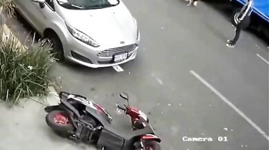 Konflikt psů na ulici