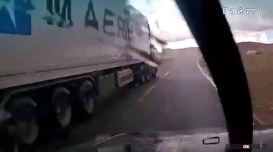 Ovcím se podařilo utéct...