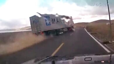 Ovcím se podařilo utéct...