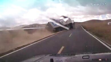 Ovcím se podařilo utéct...