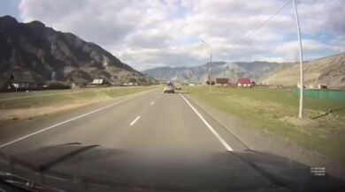 Řidič se těsně vyhnul stádu ovcí