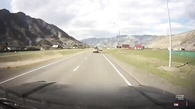 Řidič se těsně vyhnul stádu ovcí