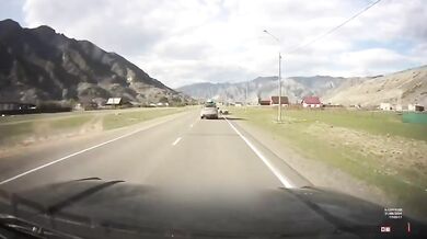 Řidič se těsně vyhnul stádu ovcí