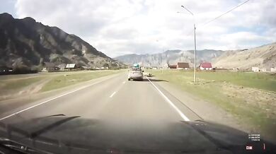 Řidič se těsně vyhnul stádu ovcí