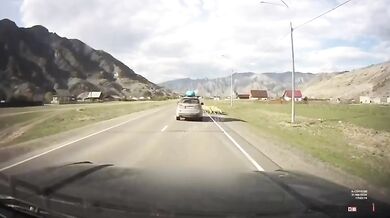 Řidič se těsně vyhnul stádu ovcí