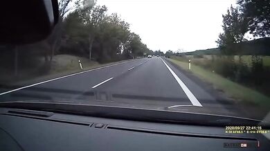 Řidič se jen těsně vyhnul srážce se srnou