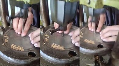 Profesionál v práci