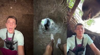 Tváří v tvář medvědovi