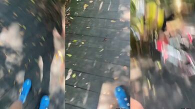 Pozor, klouže to! #8