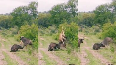 Záchrana kamaráda!