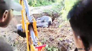 Záchrana slona uvězněného ve studni