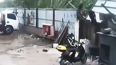 Pes, který měl velké štěstí!