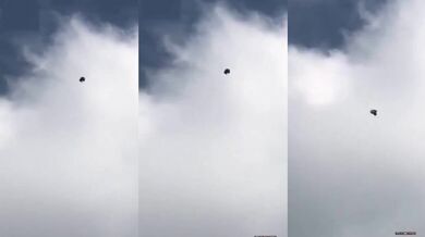 Holub se dostal do víru větru